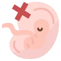 abortos de repeticion Especialista en Histeroscopia en Pachuca
