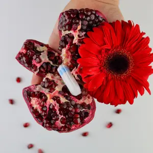 mapeo de endometriosis Ultrasonidos Ginecológicos en Pachuca
